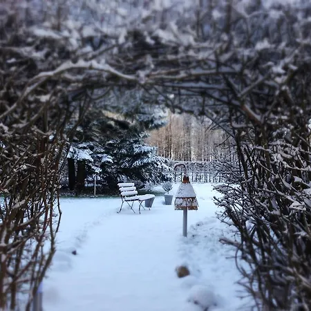 ホテル Seaside Boutique ハイリゲンダム