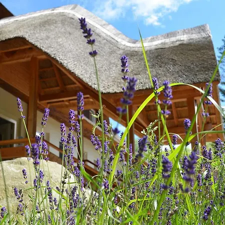 Heiligendamm- Digitales & Rezeptionsloses 4*